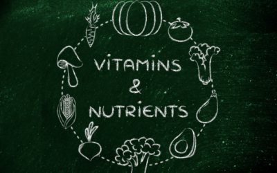 The 7 Nutrients and Why They Are Important