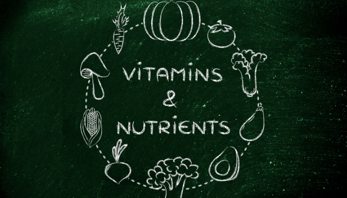 The 7 Nutrients and Why They Are Important